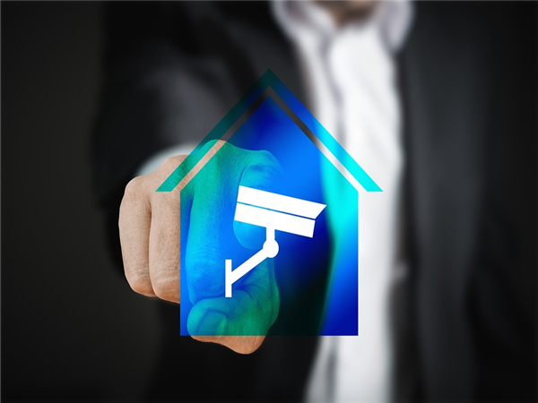 美国常见的两种公司类型