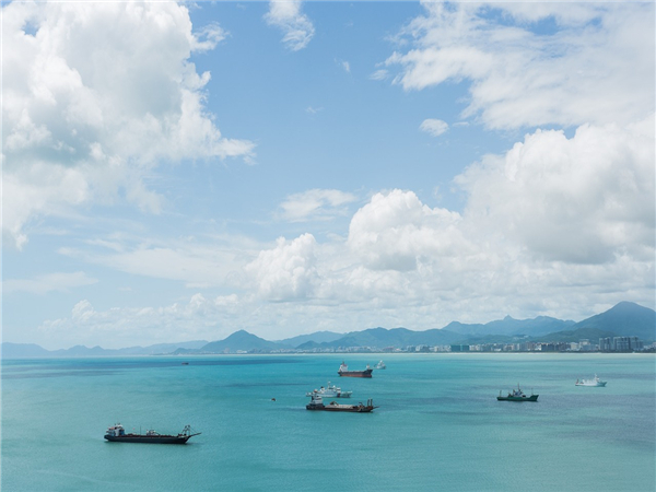 航运物流领域