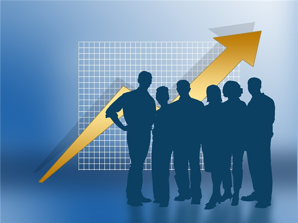 澳门公司的类型