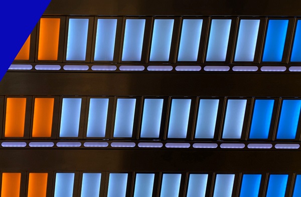 第一步：选择公司类型与名称